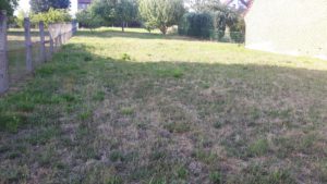 003 - Baugrundstück in Trusetal / Karl-Marx-Strasse